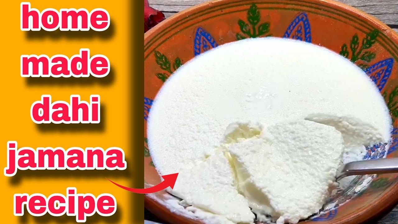How to make homemade dahi recipe|dahi easy recipe|dahi kaise jamaye| #dahirecipe 
