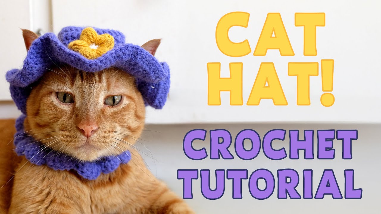Easy Crochet Cat Hat Tutorial 🐱 | DIY Bucket Hat for Cats & Small Pets!