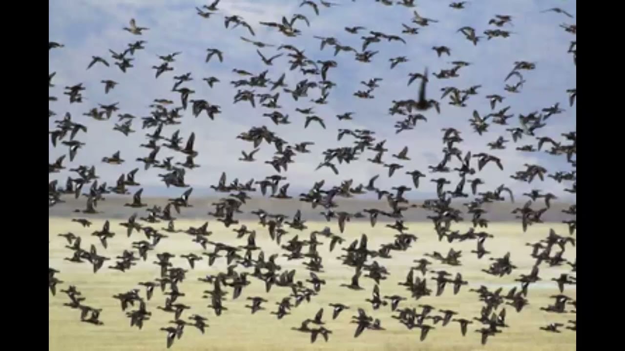 The Top Attractions of Egypt&rsquo;s Nile Delta: Lake Burullus