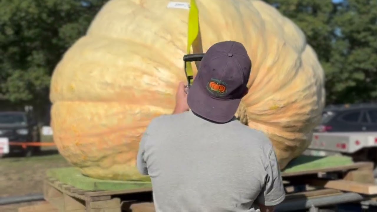 Giant Pumpkin Weigh Off