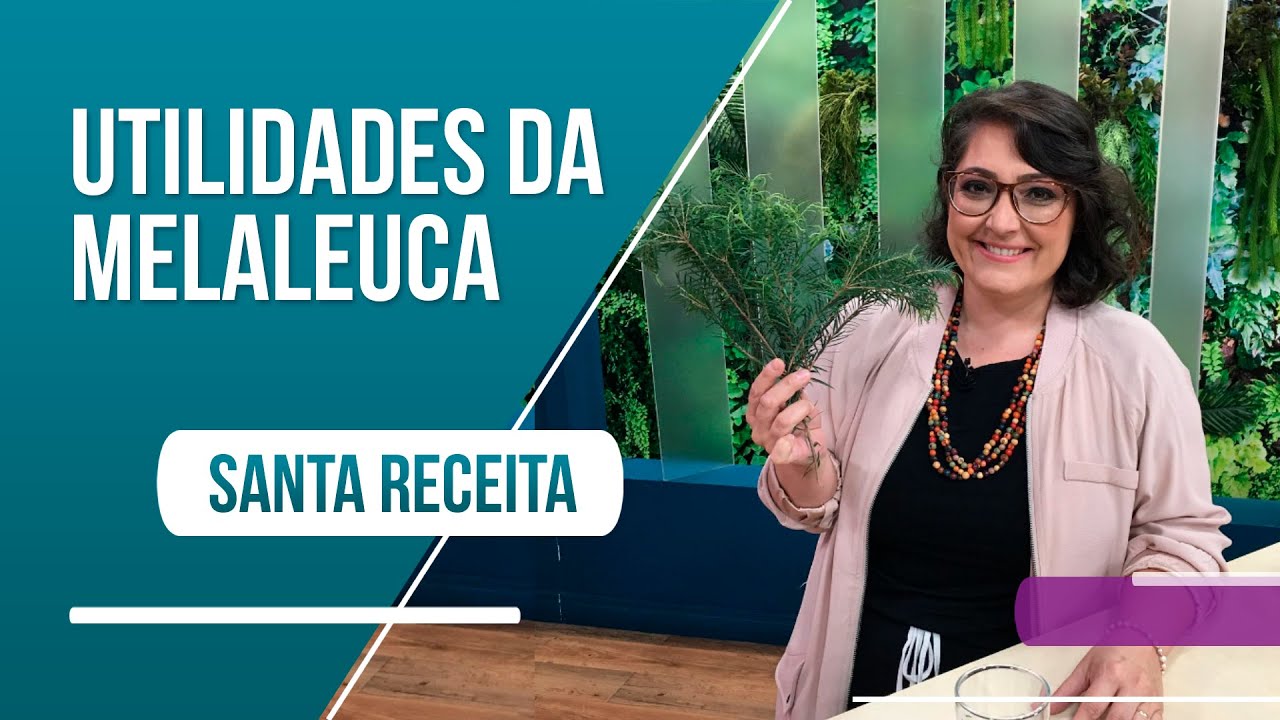 Óleo essencial de melaleuca: conheça todos os benefícios e utilidades