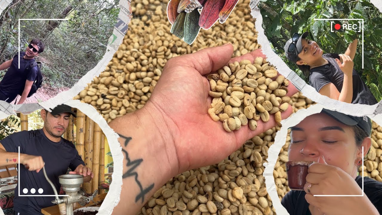 MINCA COLOMBIA🇨🇴: SELVA, CAFÉ, CACAO y la EXPERIENCIA que no sabías que NECESITABAS ☕️🍫