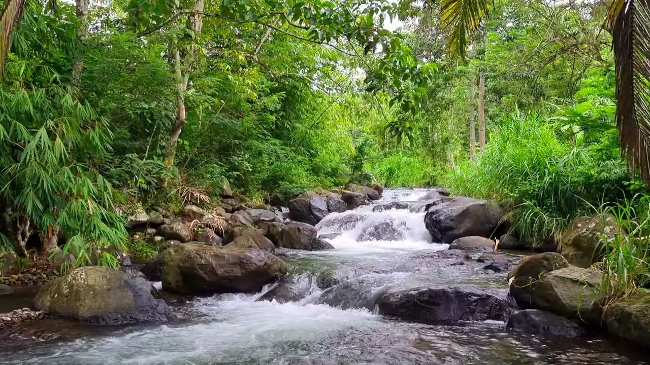 Calming River Flow Ambience For Deep Focus & Clear Creative Thinking 4K • River Stream Ambience