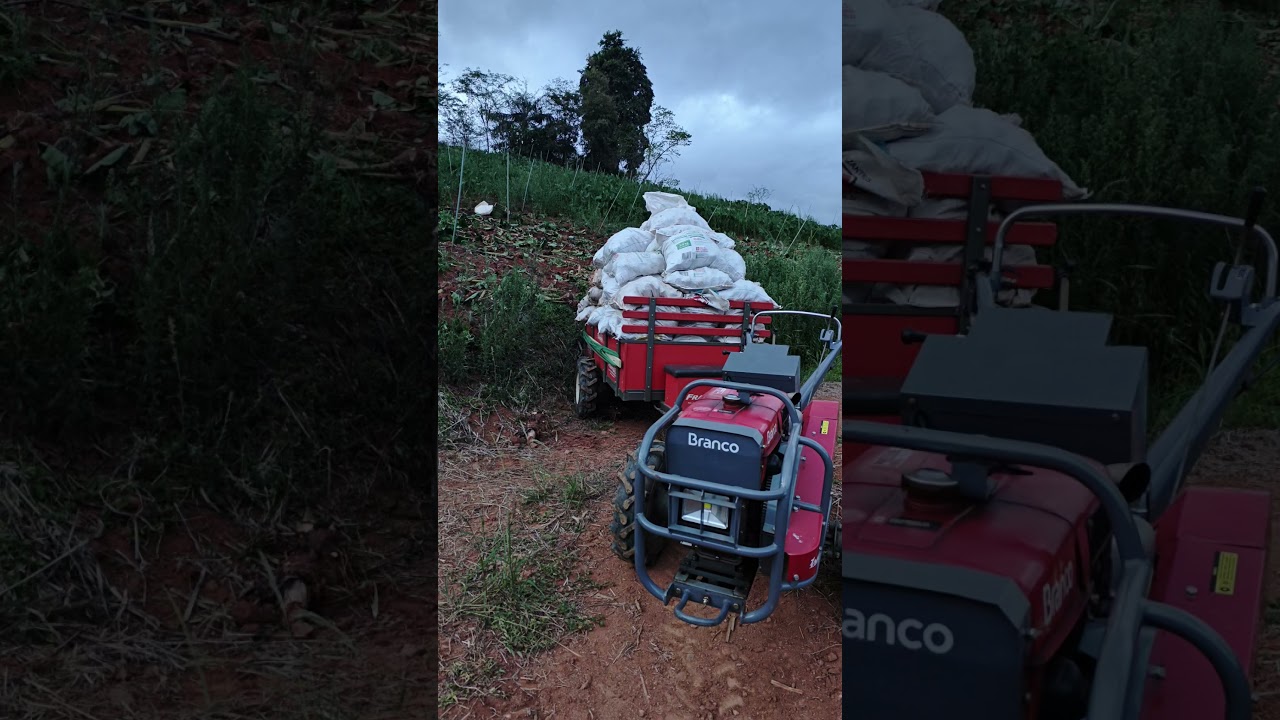 microtrator da branco 18cv