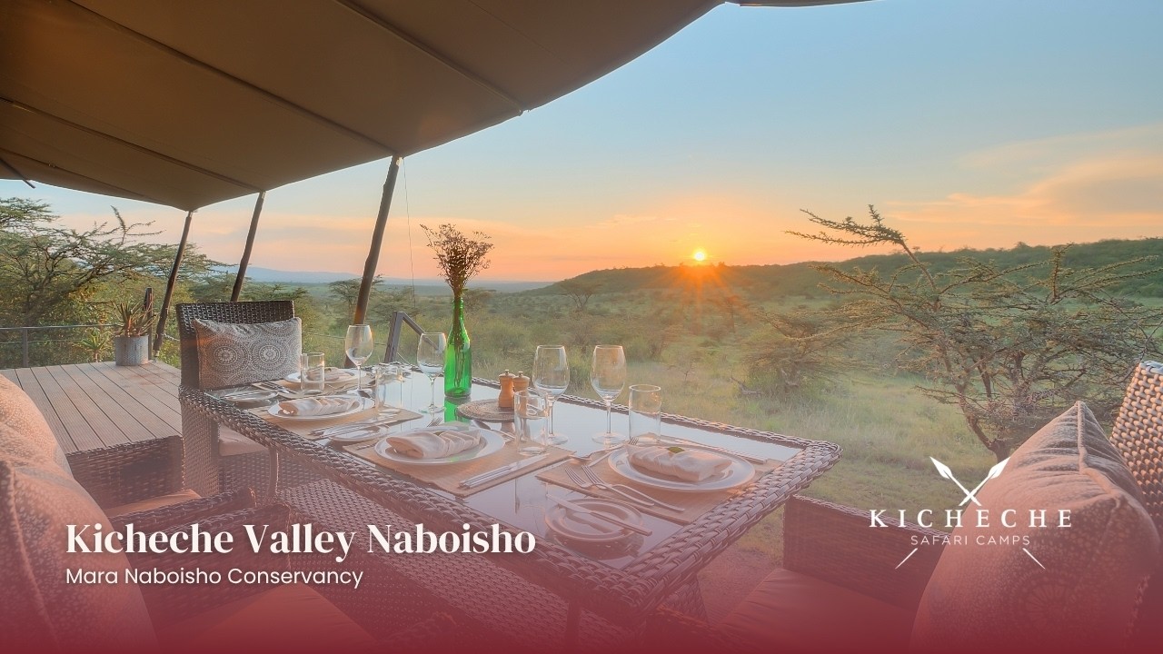Mara Naboisho Conservancy - home of Kicheche Valley Camp