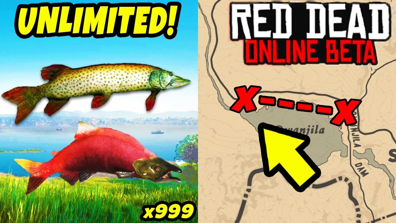 THIS SECRET WILL MAKE YOU FAST MONEY in Red Dead Online! Fish GLITCH and Easy Money Tips in RDR2!