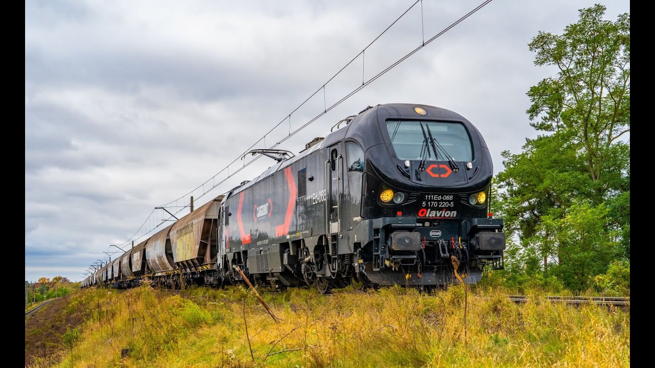 [Cargounit / Olavion] Czarna Gama 111Ed-068 z wagonami do transportu produkt&oacute;w zbożowych