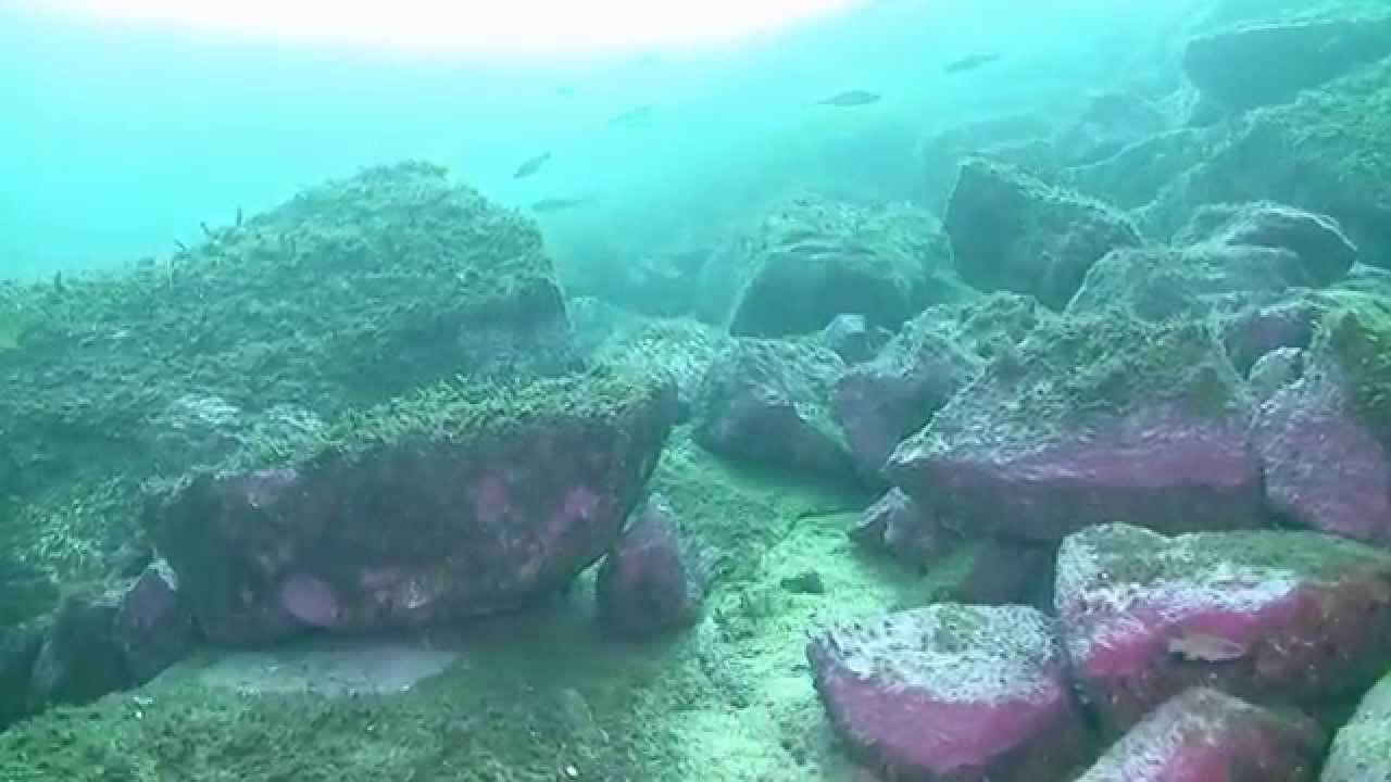 1st Dive at Bokn 20th June 2015