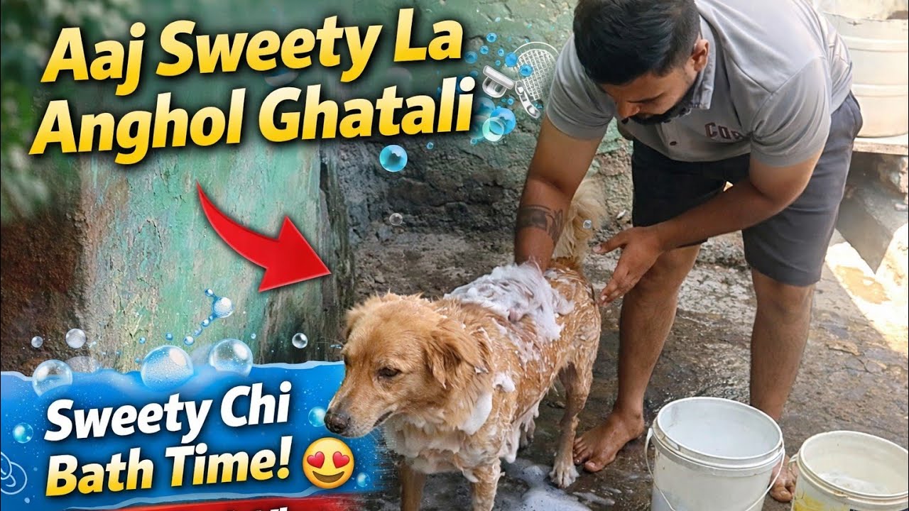 Aaj Sweety La Anghol Ghatali 🐶🚿 | Cute Dog Bath Time Vlog | Marathi Pet Vlog