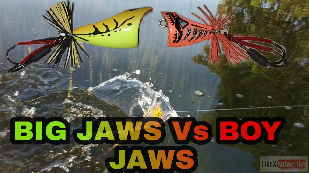 BOYTEP || REVIWE ACTION BIG JAWS DAN BOY JAWS FROG || BOYTEP LURE