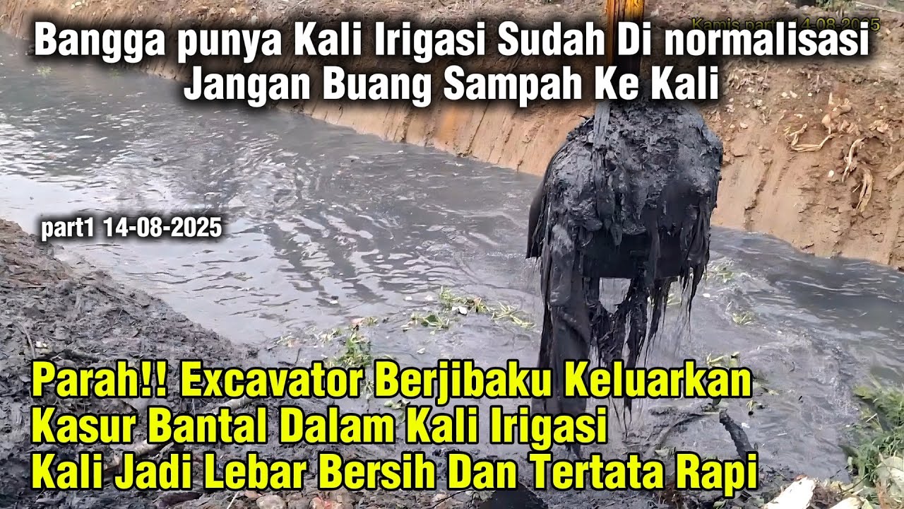 Mantap!! Excavator Keruk Sendimen Lumpur ada Sampah || normalisasi Kali Karang Satria #dedimulyadi