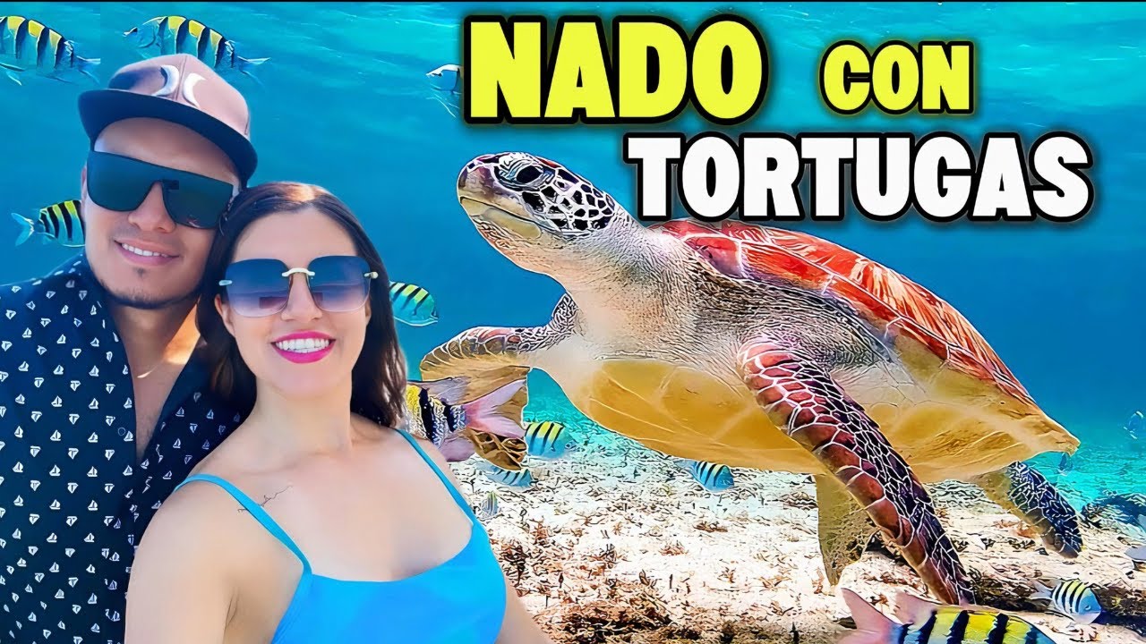 TOUR BARATO EN CANCÚN ☀️Nado con TORTUGAS AKUMAL + Tulum 🐢