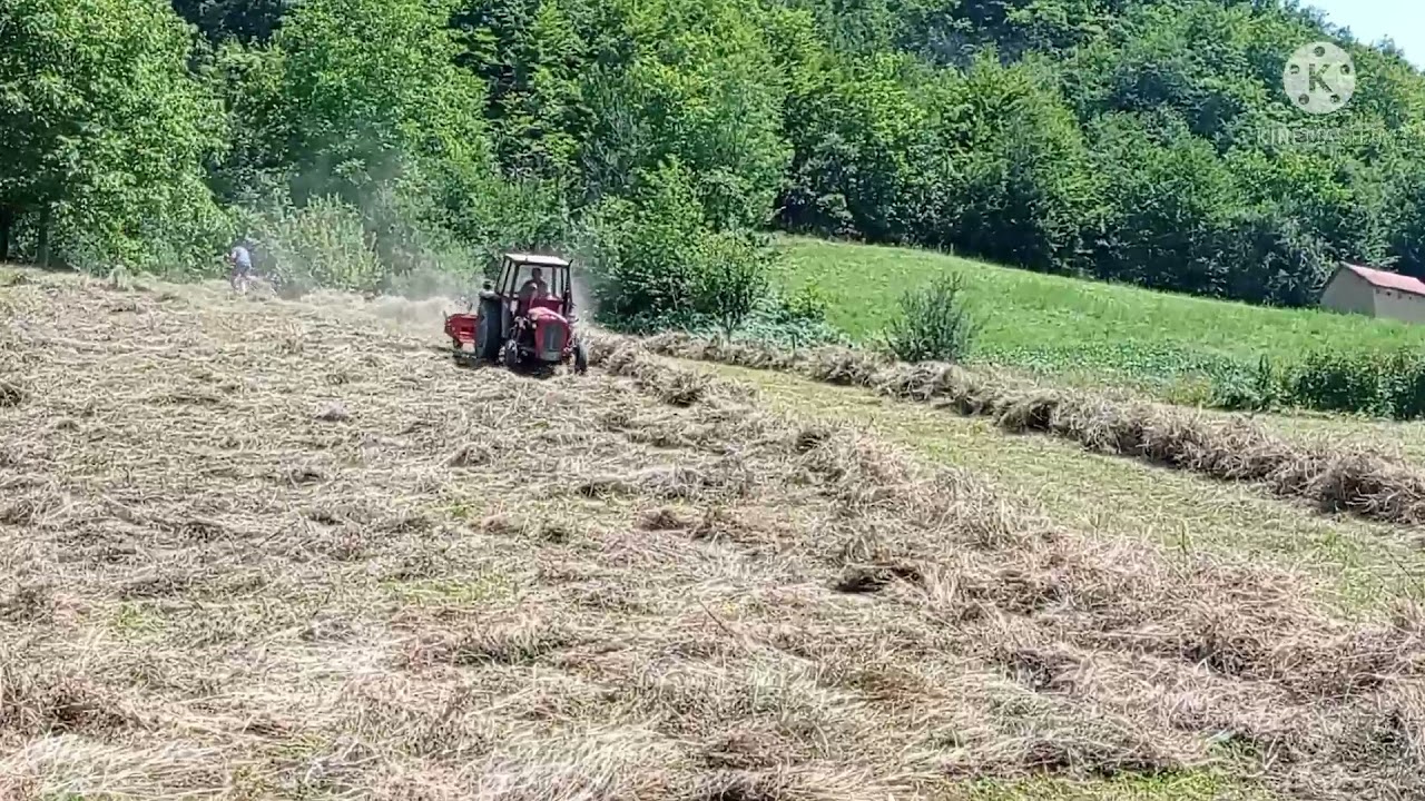 IMT 539 DELUXE & SIP PANONIJA - SAKUPLJANJE SENA - GORNJE KOŠLJE - 2021