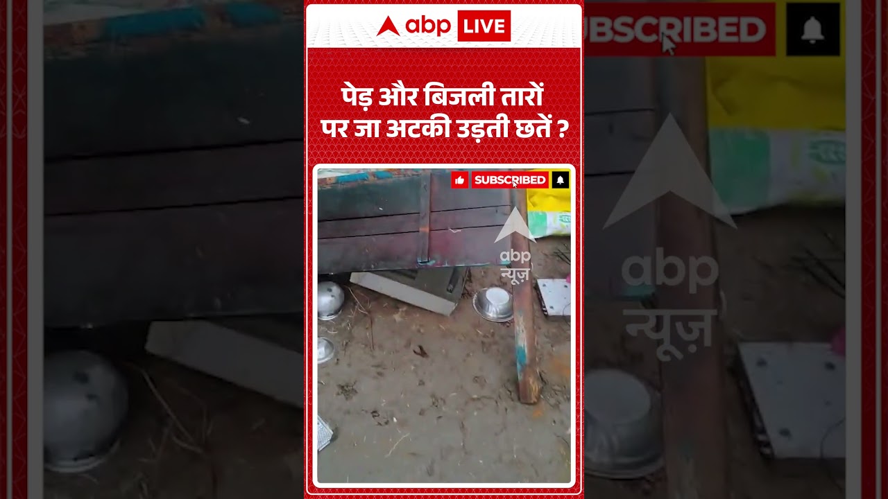 Viral News : पेड़ और बिजली तारों पर जा अटकी उड़ती छतें | #ytshorts #viral #weather #rain #storm