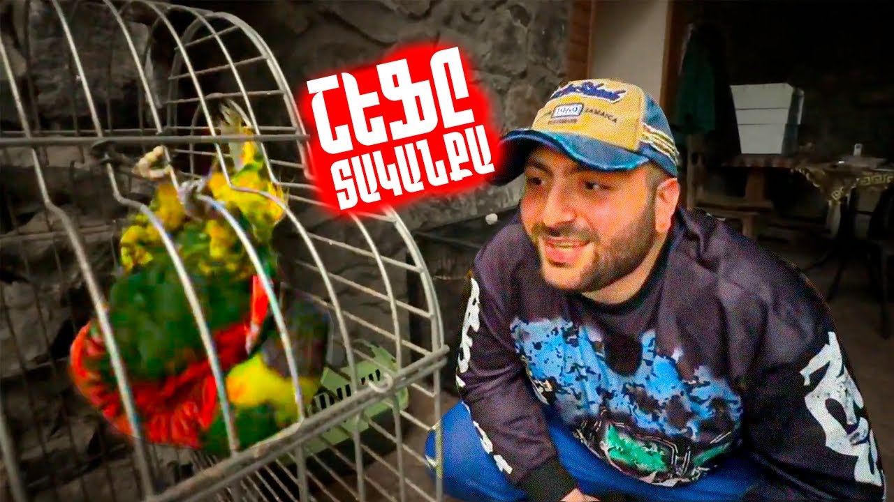 ՇԵՖԸ ՏԱԿԱՆՔԱ😂ԽՈՂԱՑՈՂ ԹՈՒԹԱԿ🔥ՊԻՏՈՆ ՕՁ🐍