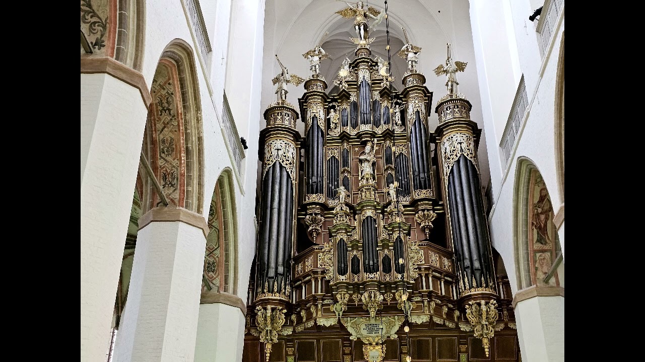 Bach: Trio Sonata no.5 in C major (1.Allegro) BWV 529