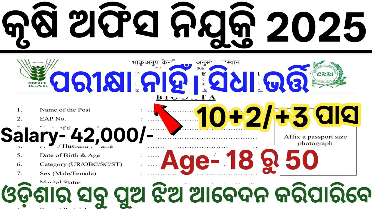 Odisha Krushi Office Nijukti 2025// Odisha Agriculture Office Vacancy// New Job Vacancy in Odisha
