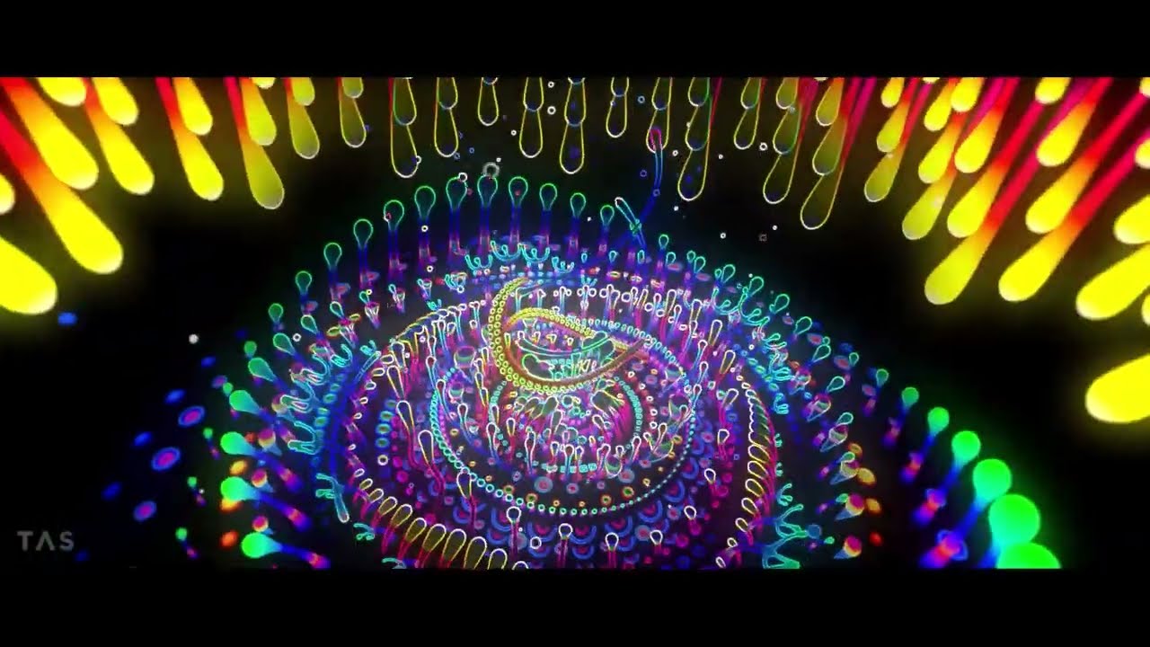 discomagic - nicky b