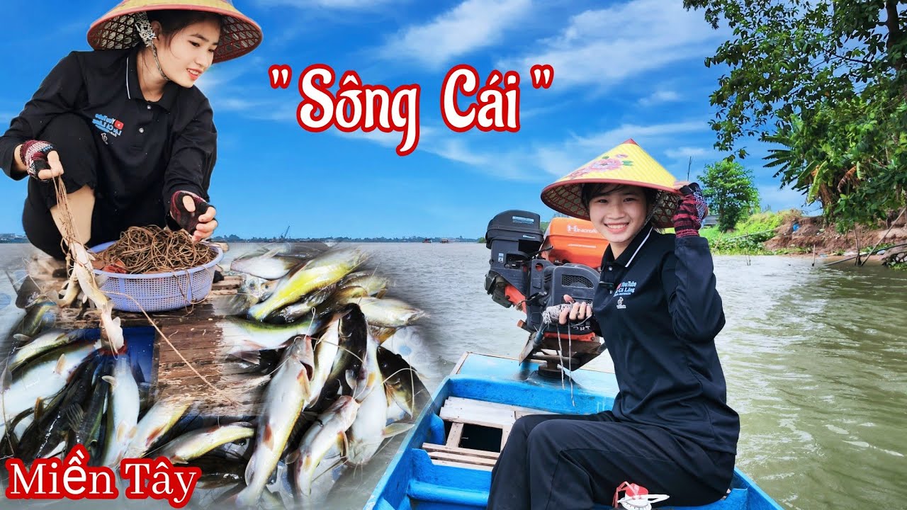 KHÁM PHÁ Điểm Câu Mới Ngoài Sông Lớn , Cá Quá Khủng khiếp  - Tập 26 #mientay #fishing