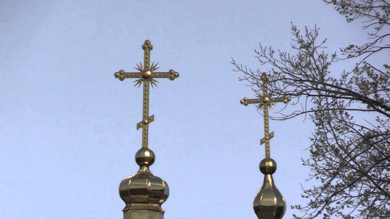 Ситковцы