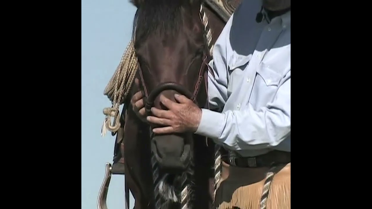 Fitting the Hackamore with Martin Black