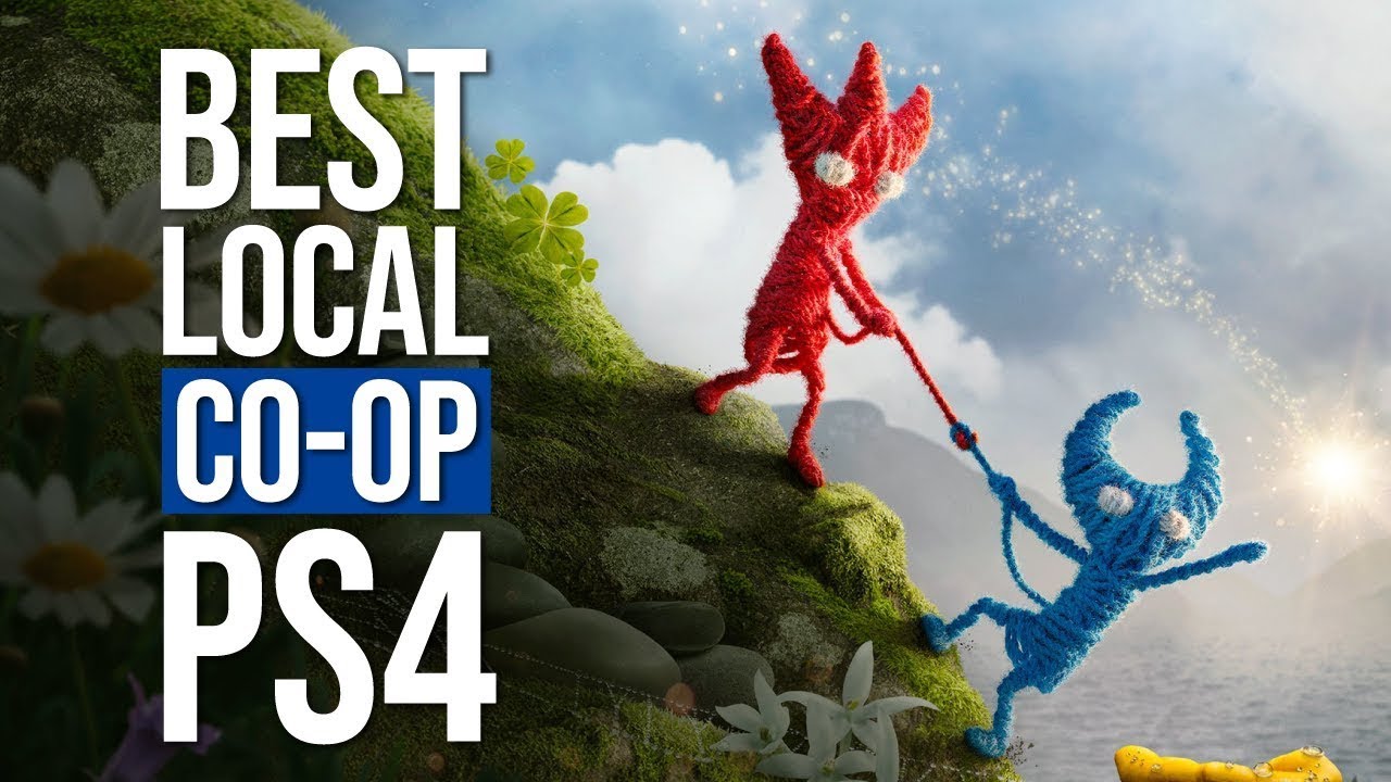 25 Best PS4 Local Co-Op Games | 2021