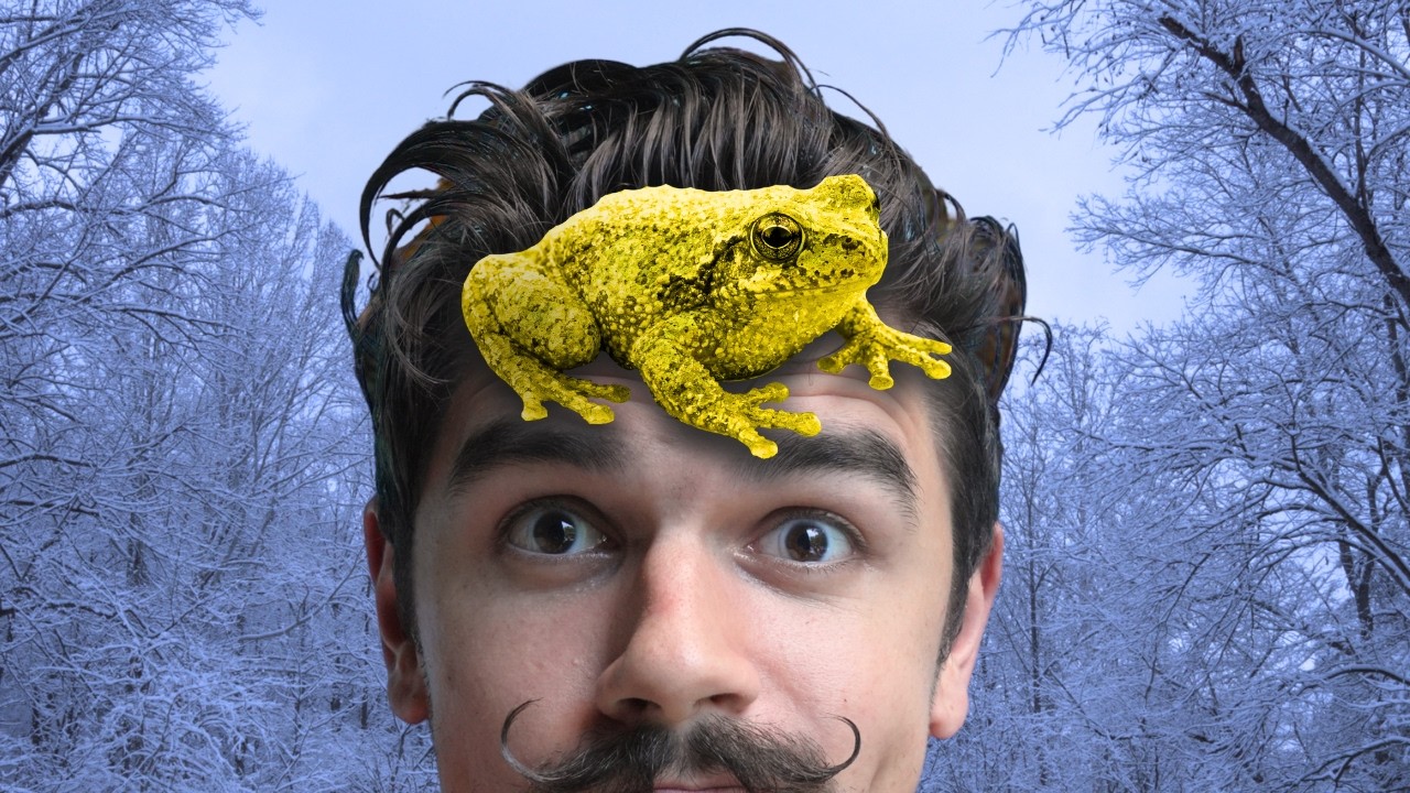 This Miracle Tree Frog Dies & Resurrects Every Year!