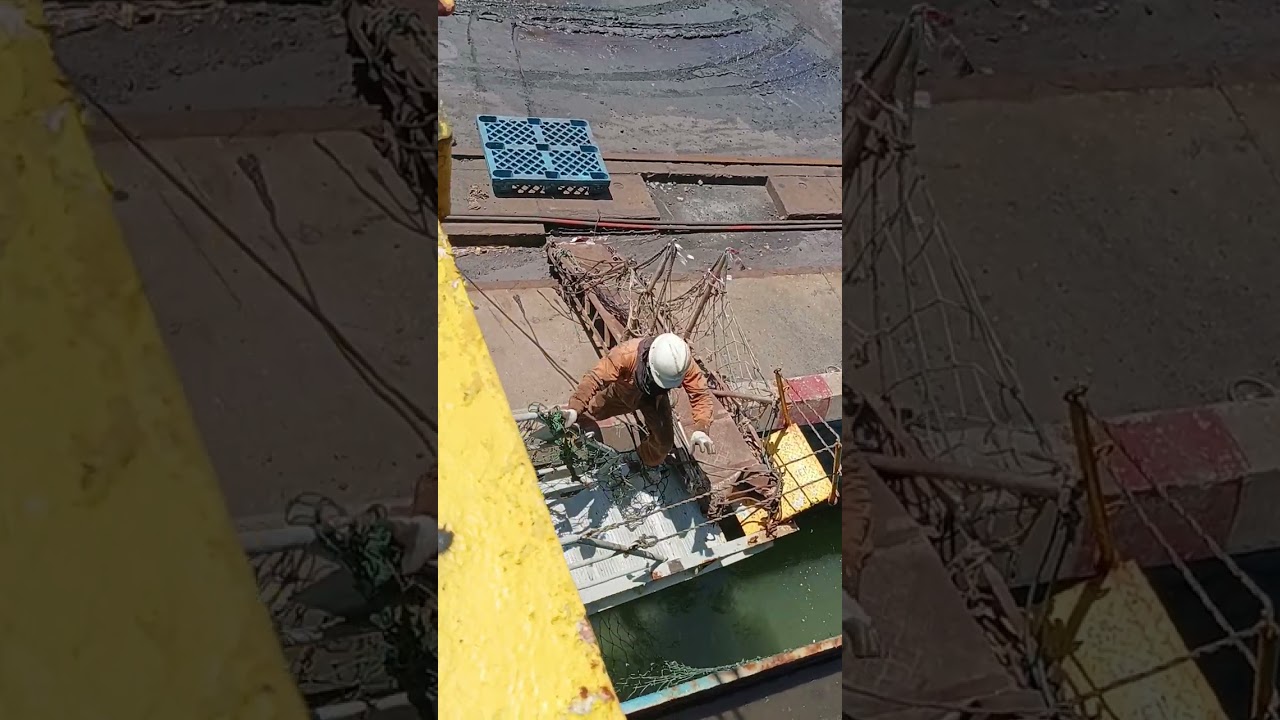 Gangway net rigging #gangway #deck #department