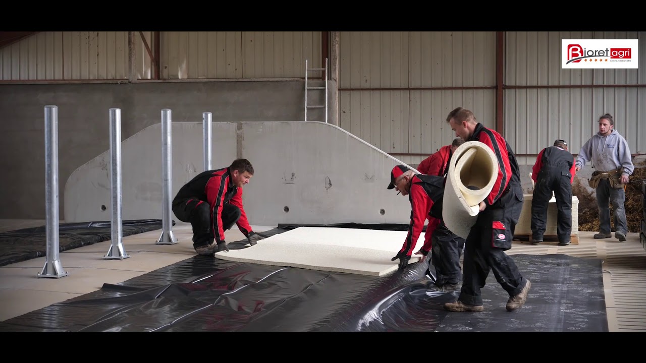 De l'Eau et des Matelas pour le Confort des Vaches dans cette Nouvelle Ferme !