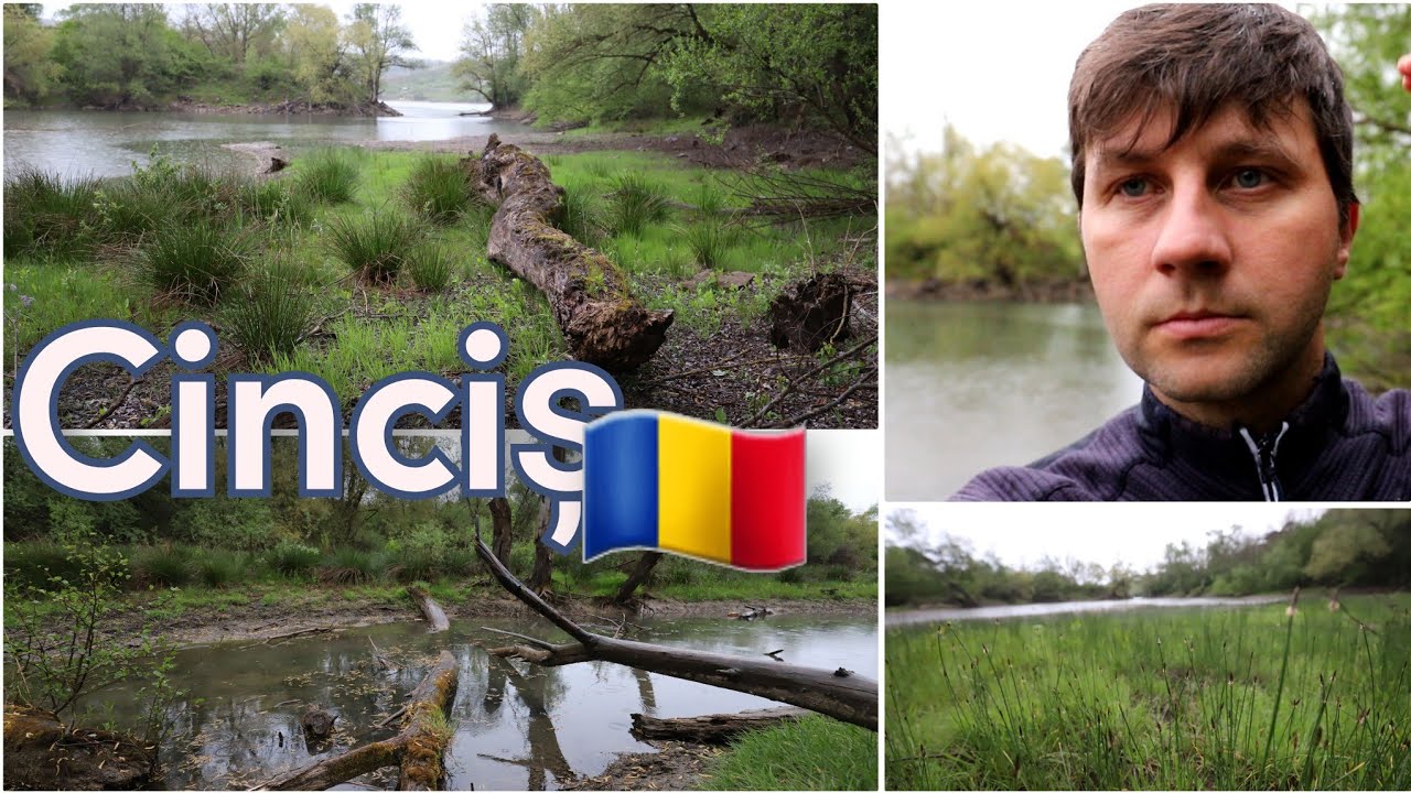 Delta pescarilor de pe Lacul Cinciș, loc misterios, pe ploaie