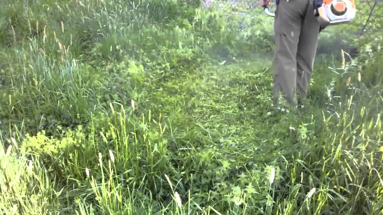Recenzja kosy spalinowej STIHL FS 250