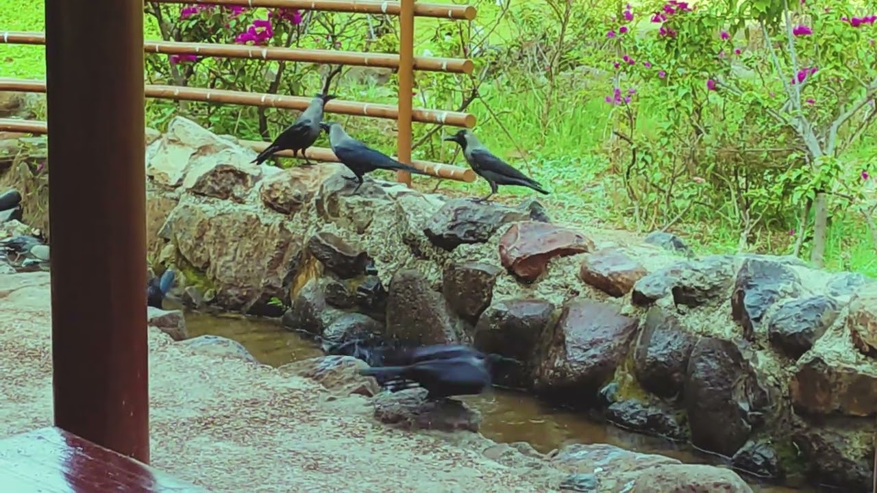 okayama Friendship Garden, Pune