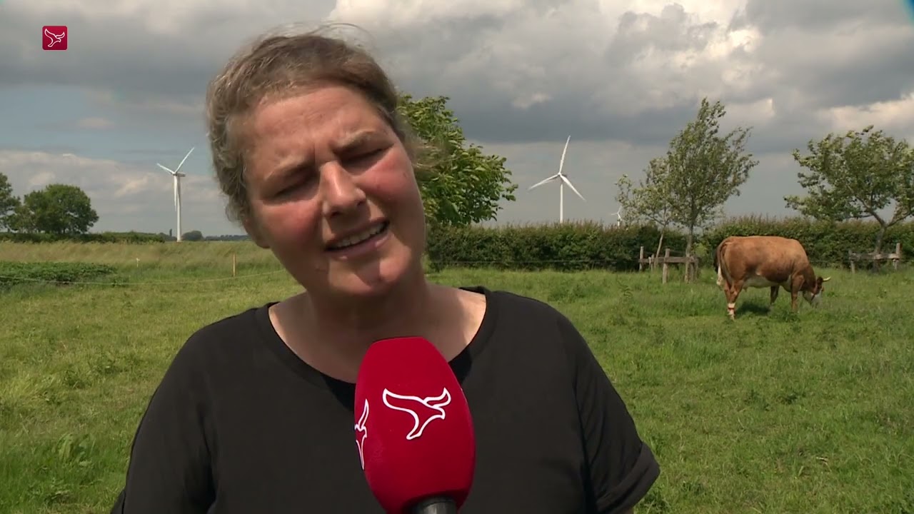 'Oplossing stikstofprobleem ligt deels bij biologisch boeren'
