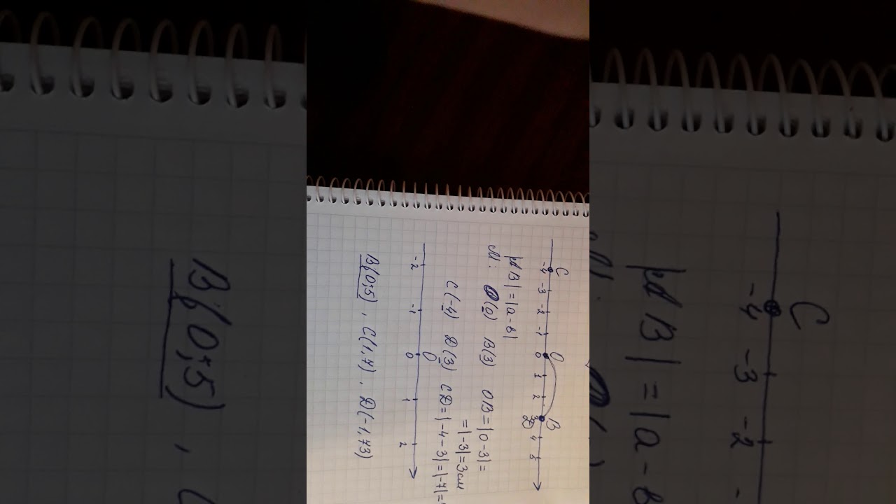 Сан огу. Координаталык түз сызык