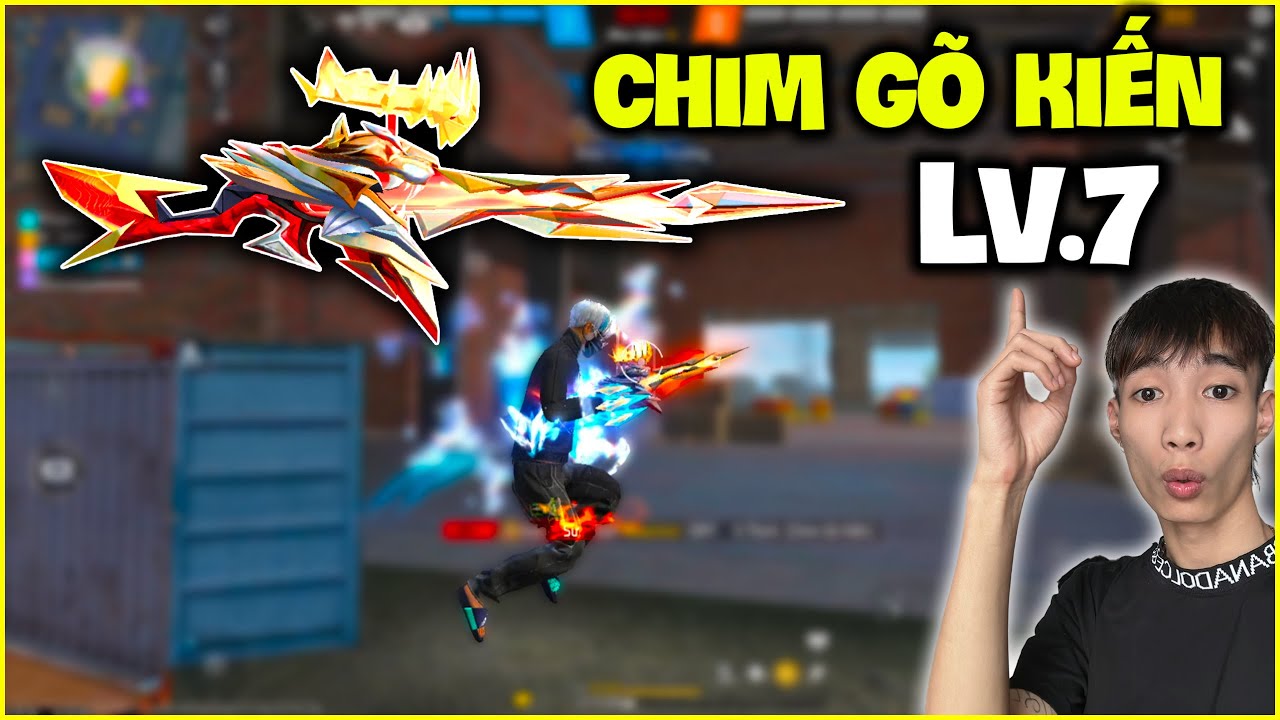 Chim Gõ Kiến Mãnh Hổ Oai Hùng Lv.7, Được Đức Mõm Đánh Giá Cao !!!