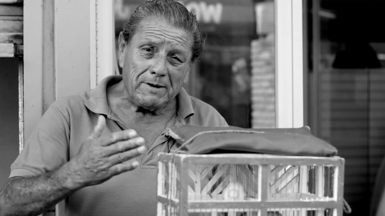 32 El Oficio de Pajarero