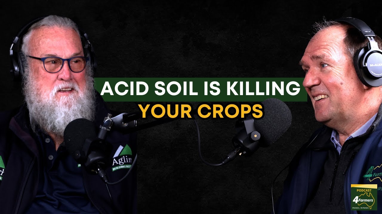 The Silent Crop Killer: How Acid Soil Destroys Root Systems (And How to Fix It)