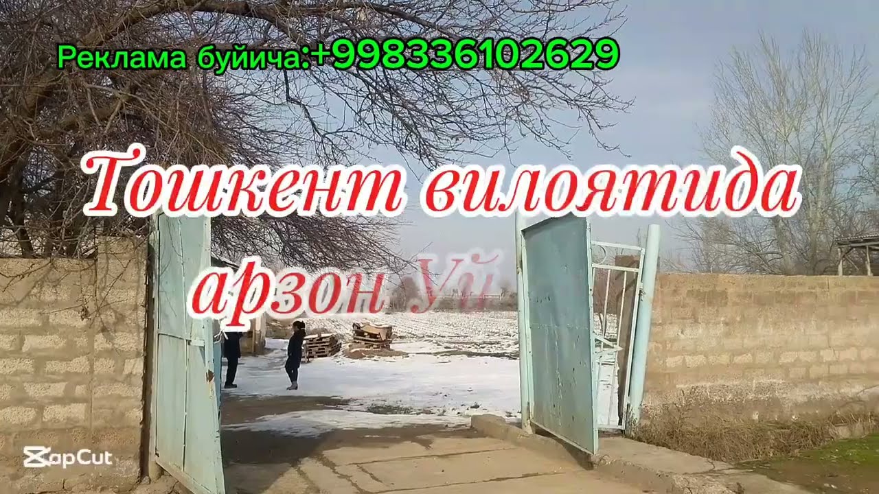 +998949120911   +998944051290
