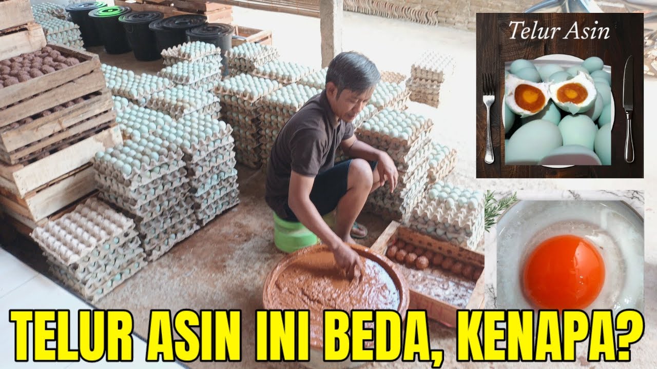 Usaha Pembuatan Telur Asin Dari Nol Hingga Laris, Modal Kecil Untung Besar