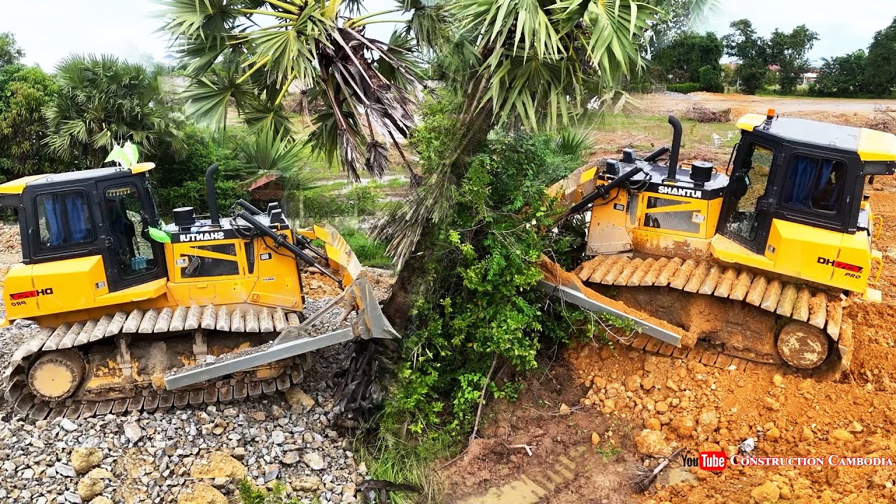 Extreme!! Powerful Shantui Bulldozer Clearing Trees Land & Dump Truck Dumping Stones Land Prep Forms