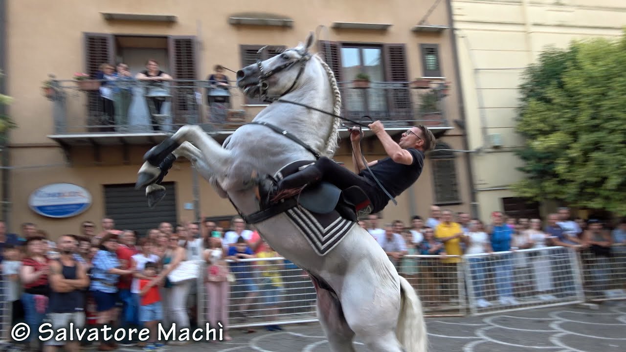 Alia (PA) - Sfilata equestre 2024