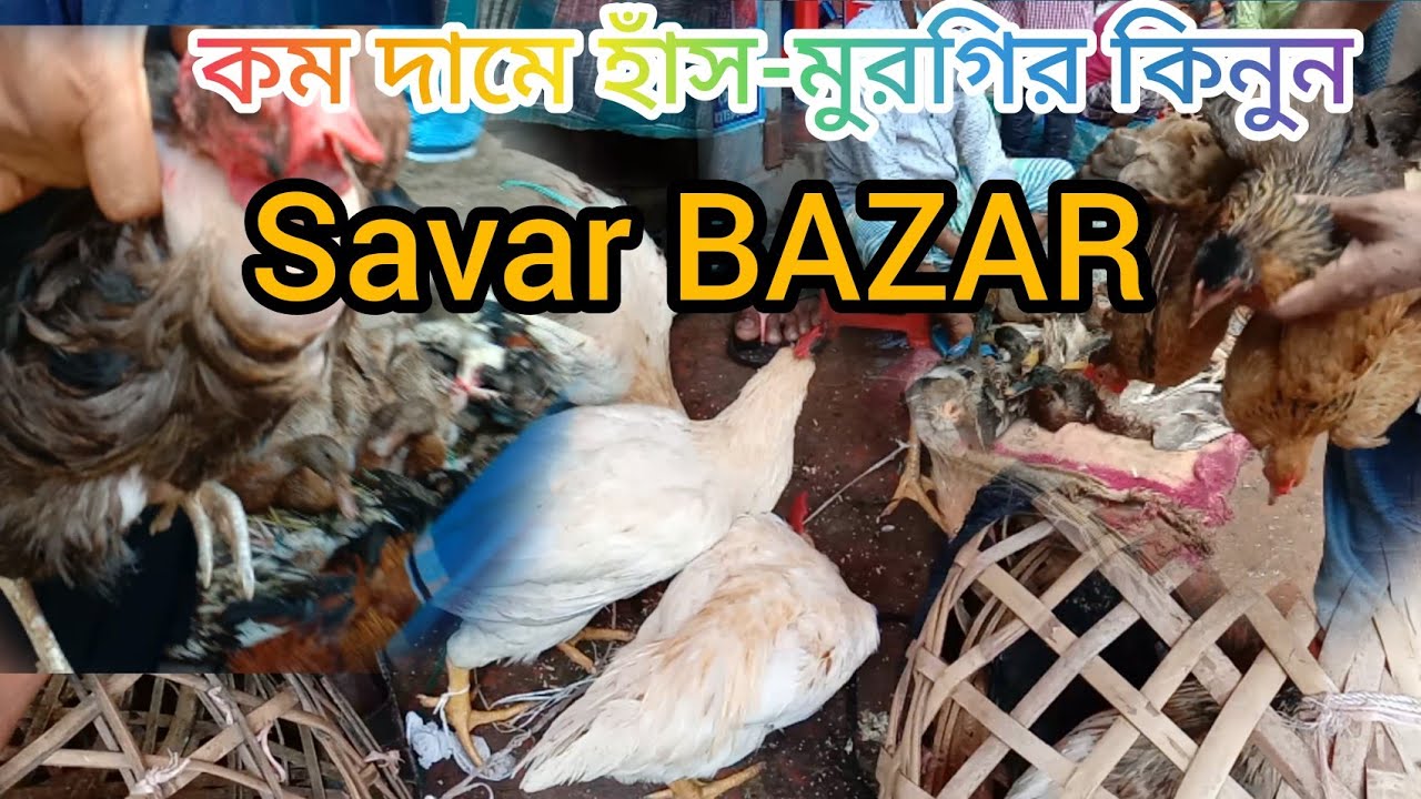 সাভার হাট ভালো মানের হাঁস-মুরগি কম দামে কিনুন!part:2,31-07-2021,savar bazar hasmorgi hat!