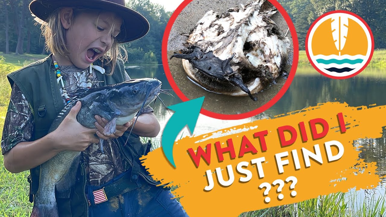 Catfish Skeleton? Or something else??? | Outdoor adventures for kids! | Catching a Catfish