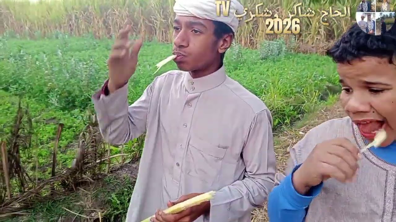 خلصنا من شكري الحرامي جلنت واحد مش عارفينه 🥷🎥