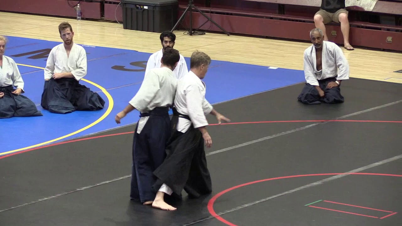 Birankai Aikido Summer Camp 2019 - J. Brinsley, Shidoin, Class 3