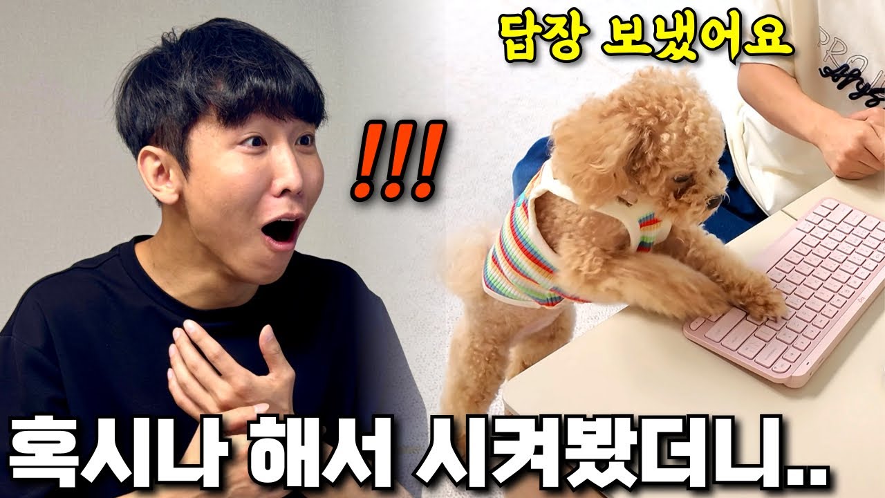 미치겠네... 이게 사람이지 개냐.... 어디까지 가능하니?