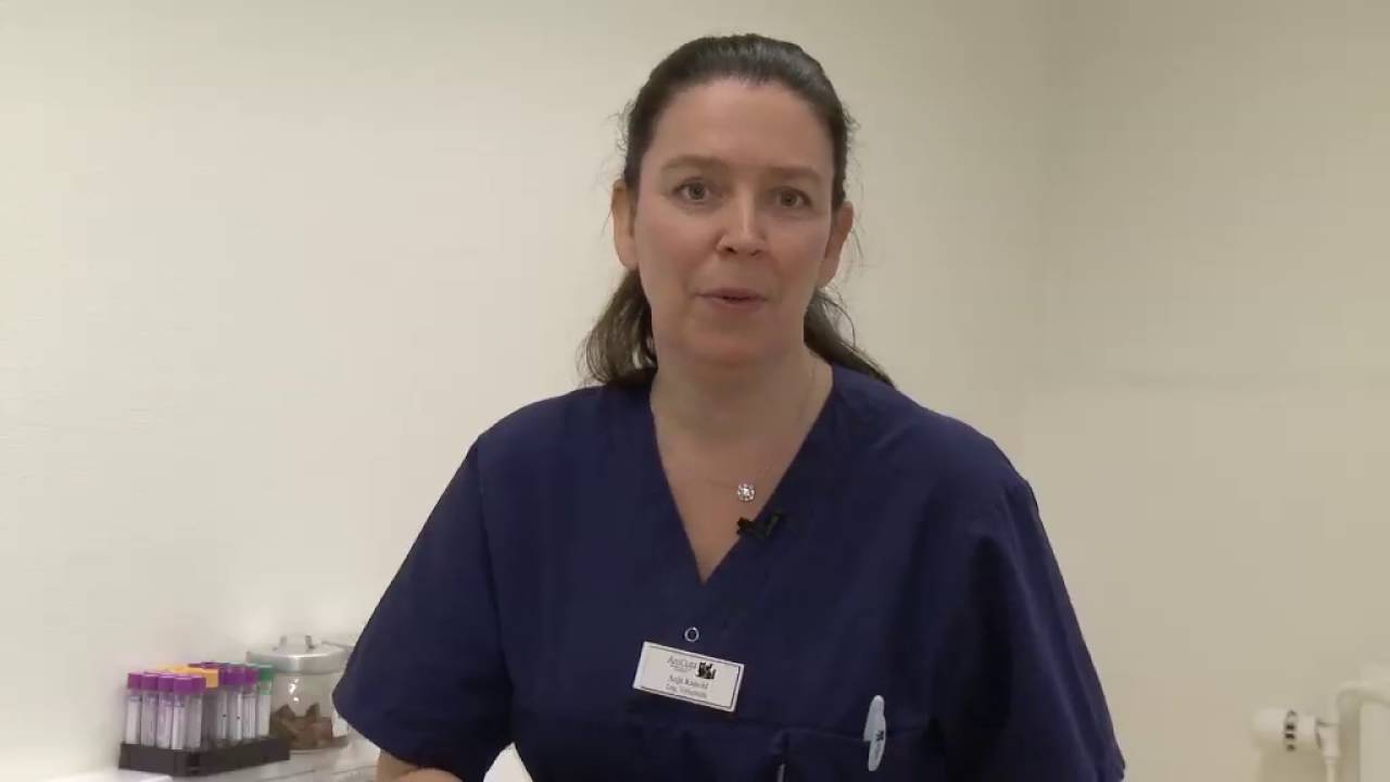 Hur du klipper klorna på din valp