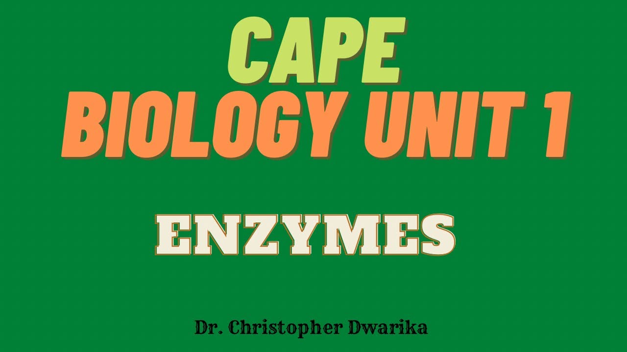 CAPE Biology Unit 1 Module 1 - Enzymes