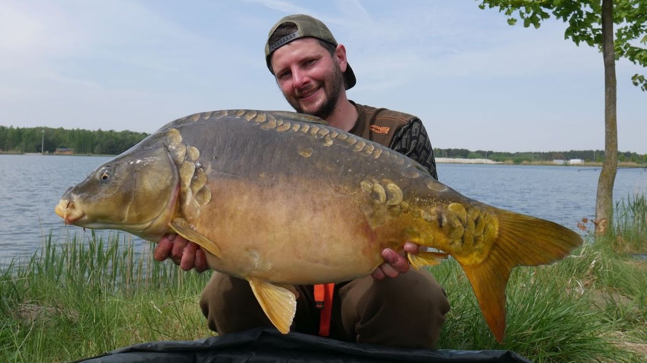 Karpiowe Eldorado | Łowisko Strong Carp Lake