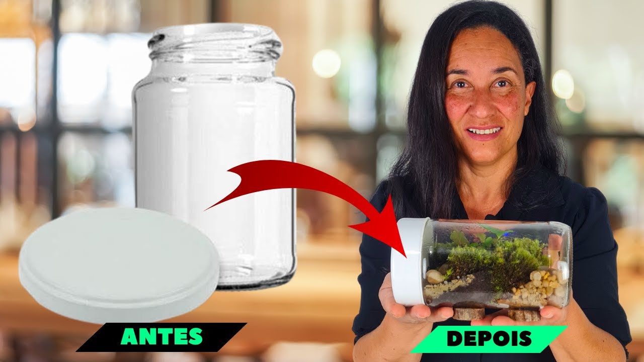 Terrário: Um Mundo em Miniatura em seu Ambiente!